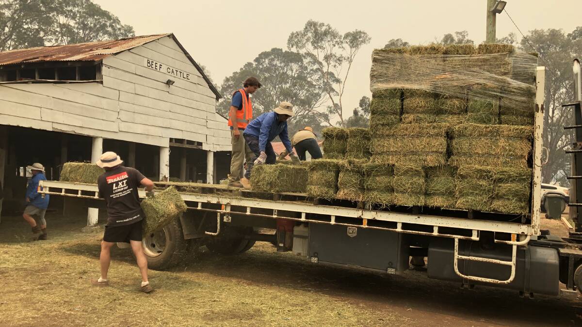 Livestock producers who have been impacted by bush fires on the Mid Coast have accessed emergency fodder at the Wingham Showground over the past couple of weeks. 
