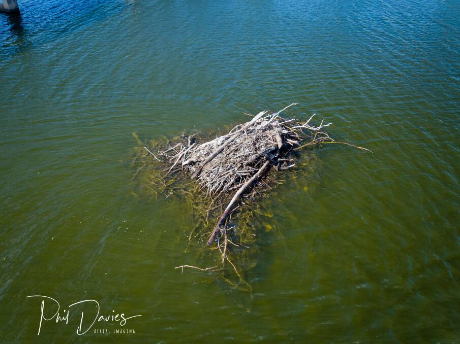 The pile of sticks in the Manning River needs a name | VIDEO