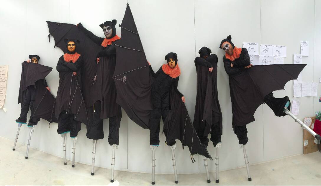 Creative colony: what better creative costume to signify Wingham than the grey-headed flying foxes that populate Wingham Brush? Photo: supplied