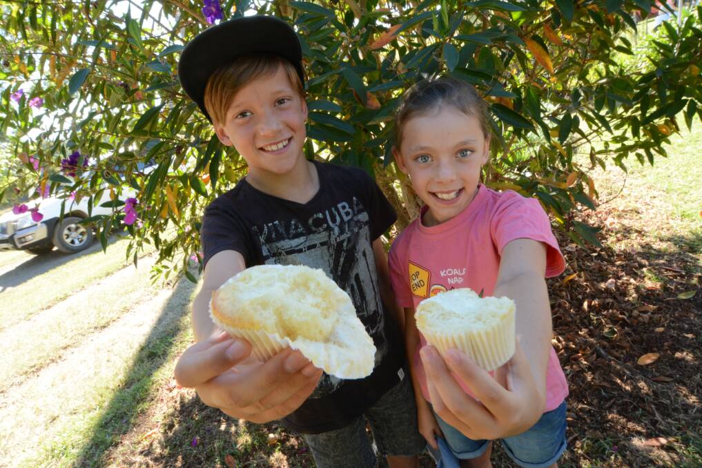 Cupcakes for kids: Biggest Morning Tea at Tinonee Cuppa in the Country in 2016.