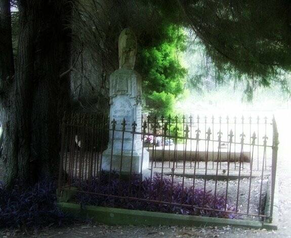 The golden cypress trees gave the cemetery a sometimes suitably gloomy atmosphere. Photo: Julia Driscoll