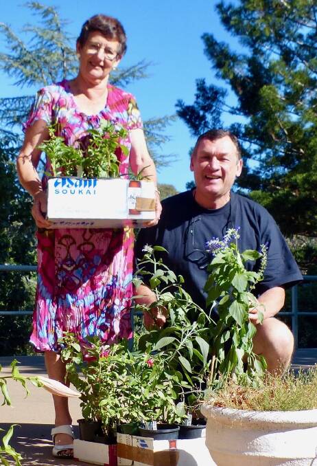 President of Tamworth Cottage Gardeners, Sandra Holmes presenting George Hoad with boxes of plants. Photo supplied