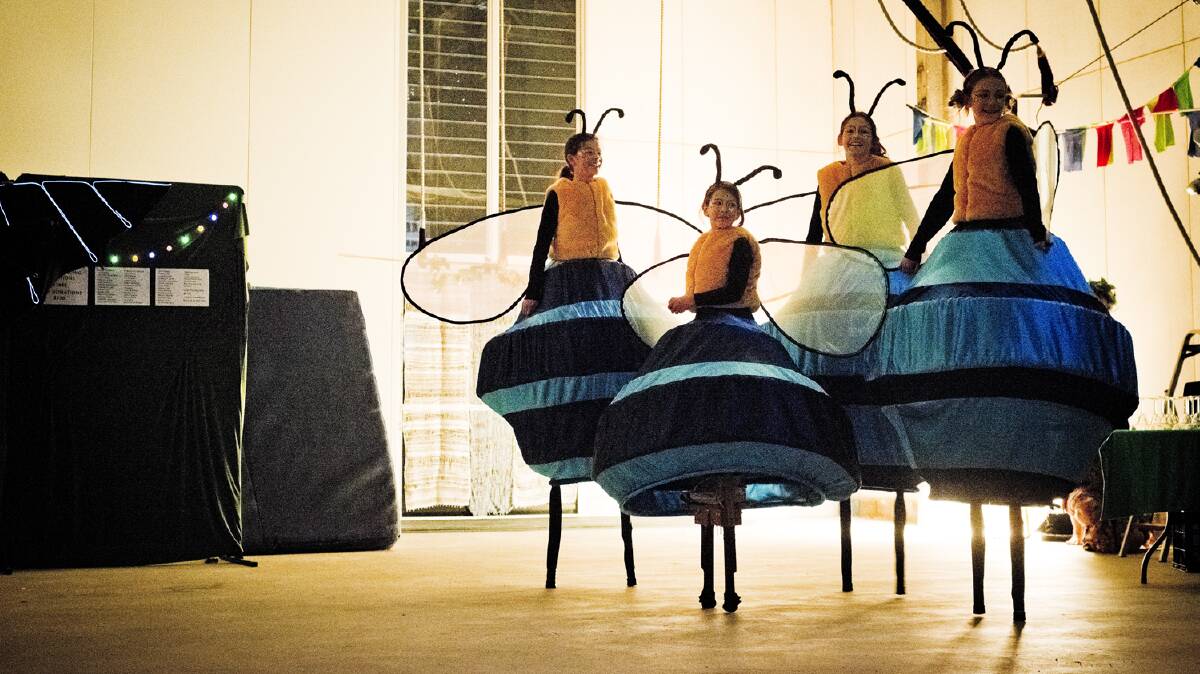 Buzzing around: the blue-banded bees native to Australia are the inspiration for these costumes. Photo: supplied.