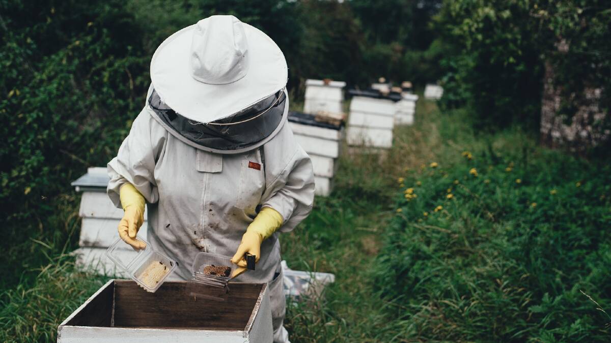 Introduction to bee keeping course at Cedar Party