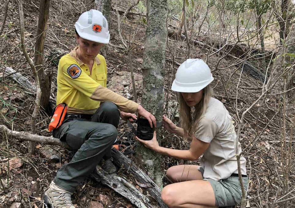 Hayley Shute of Aussie Ark and NPWS staff member setting camera traps. Photo Aussie Ark