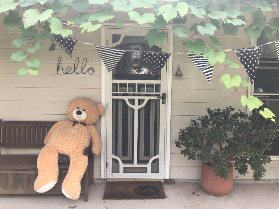 Teddy bears big and small have come out of hiding in Tinonee. Photo: Ainslee Dennis