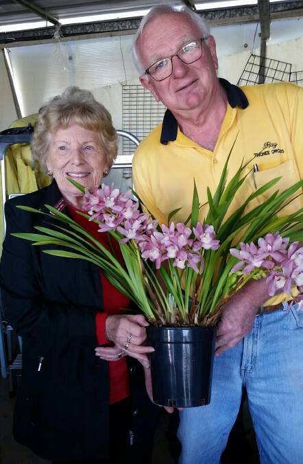Ray of Tinonee Orchids presenting club member Pam Smith with her raffle prize. Photo: submitted