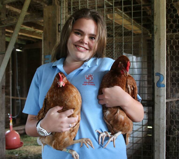 Shari Urquhart with two of the Hyline hens she and Stephanie Davis-Stone are taking to the Sydney Royal Easter Show. Photo: supplied