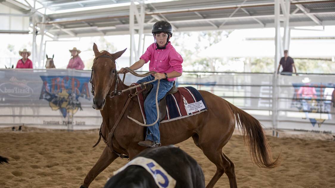 Zac Moore competing in ranch sorting at the ABCRA National Finals in Tamworth. Photo supplied