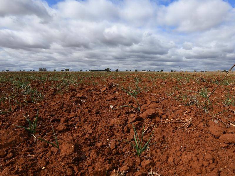 Drought conditions are forecast to intensify across Australia this spring.