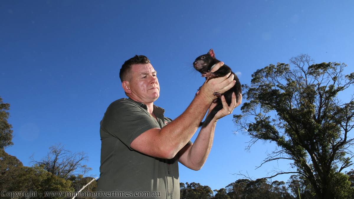 THE NEXT GENERATION: Devil Ark hopes this is the first in many milestones in their goal of re-populating Tasmania with disease-free Tasmanian devils. 