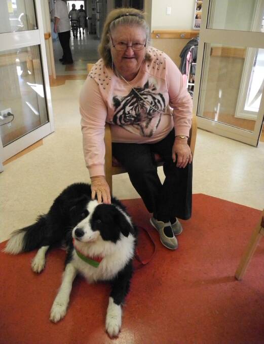 Therapy dogs making a difference in Wingham