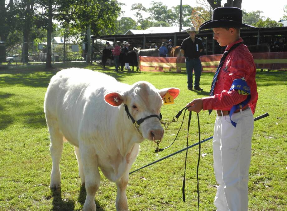 Aaron Walker with 'Ice' takes first place in heat one of the under 13 parading at Beef Week 2014.