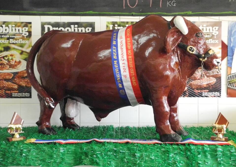 Wingham Beef Week: Adam the Bull