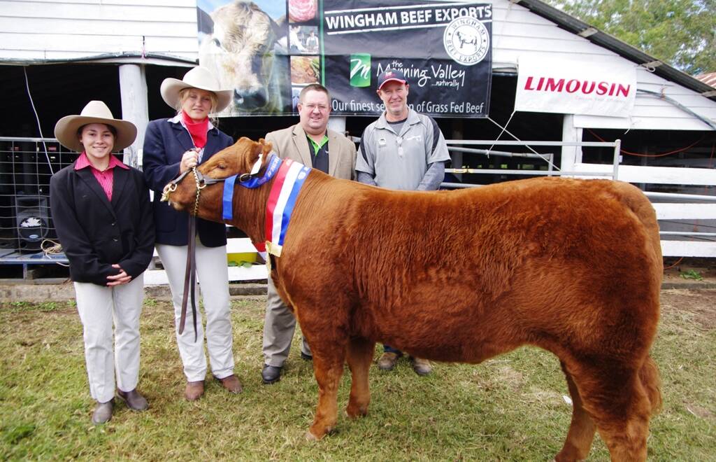 The 2013 Grand Champion Led Steer was auctioned at the inaugural Wingham Beef Week live auctions.