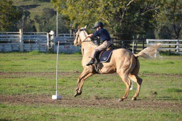 Nate Smith riding his new quarter horse Beauty