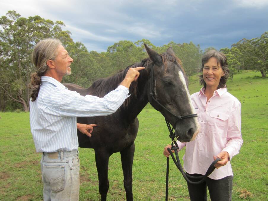 Craig Harrison of Wingham Remedial Massage does an Emmett Technique on Alison Allan's horse Max