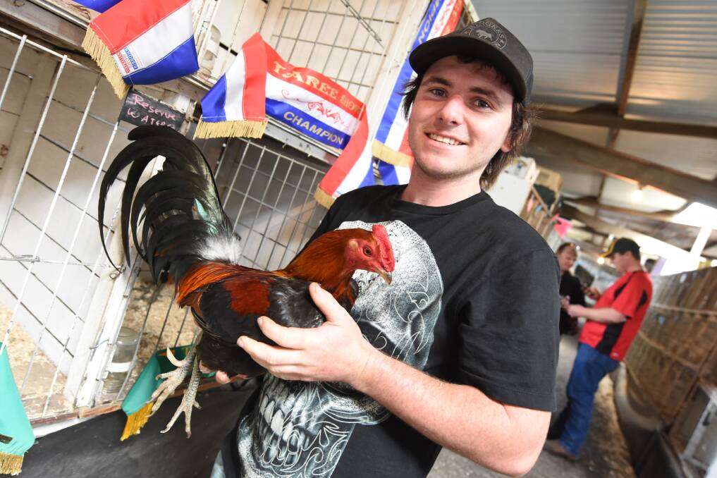 Poultry paradise: Jeremy Mills, from Mount George, with his champion hard feather large at last year's Taree Show.