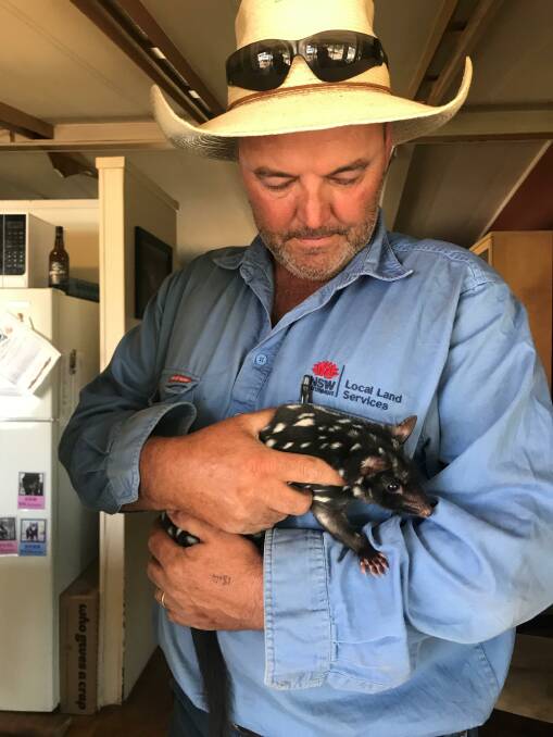Hunter Local Land Services biosecurity officer Jonathan Randle with an endangered Eastern quoll at Aussie Ark.