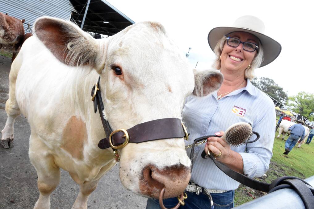 Agriculture: Christine George with one of her cattle show entries at last year's show.