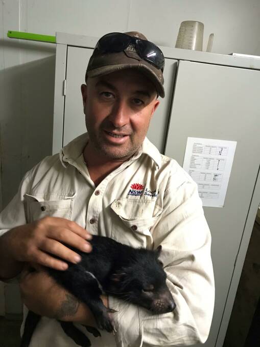 Hunter Local Land Services biosecurity officer Richard Ali with a Tasmanian devil at Aussie Ark in Barrington Tops