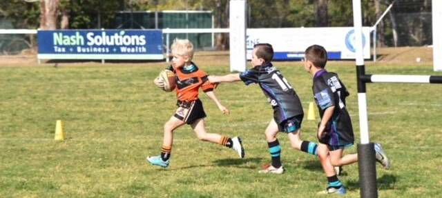 On the charge: Wingham's Riley Knoke evades two Taree Panthers defenders in an under 7s match earlier this season. Photo: Mark Knoke. 
