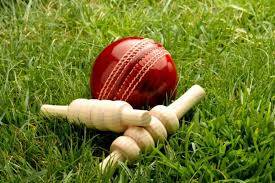 Round four Wingham junior cricket match reports